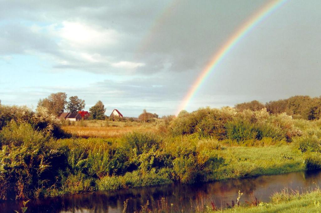 Kalda Talu Villa Tolliste Bagian luar foto